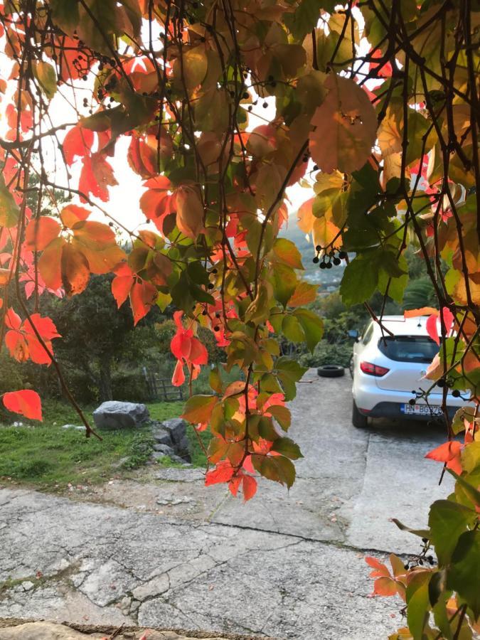 Etno Village Mihailovic II Herceg Novi Luaran gambar